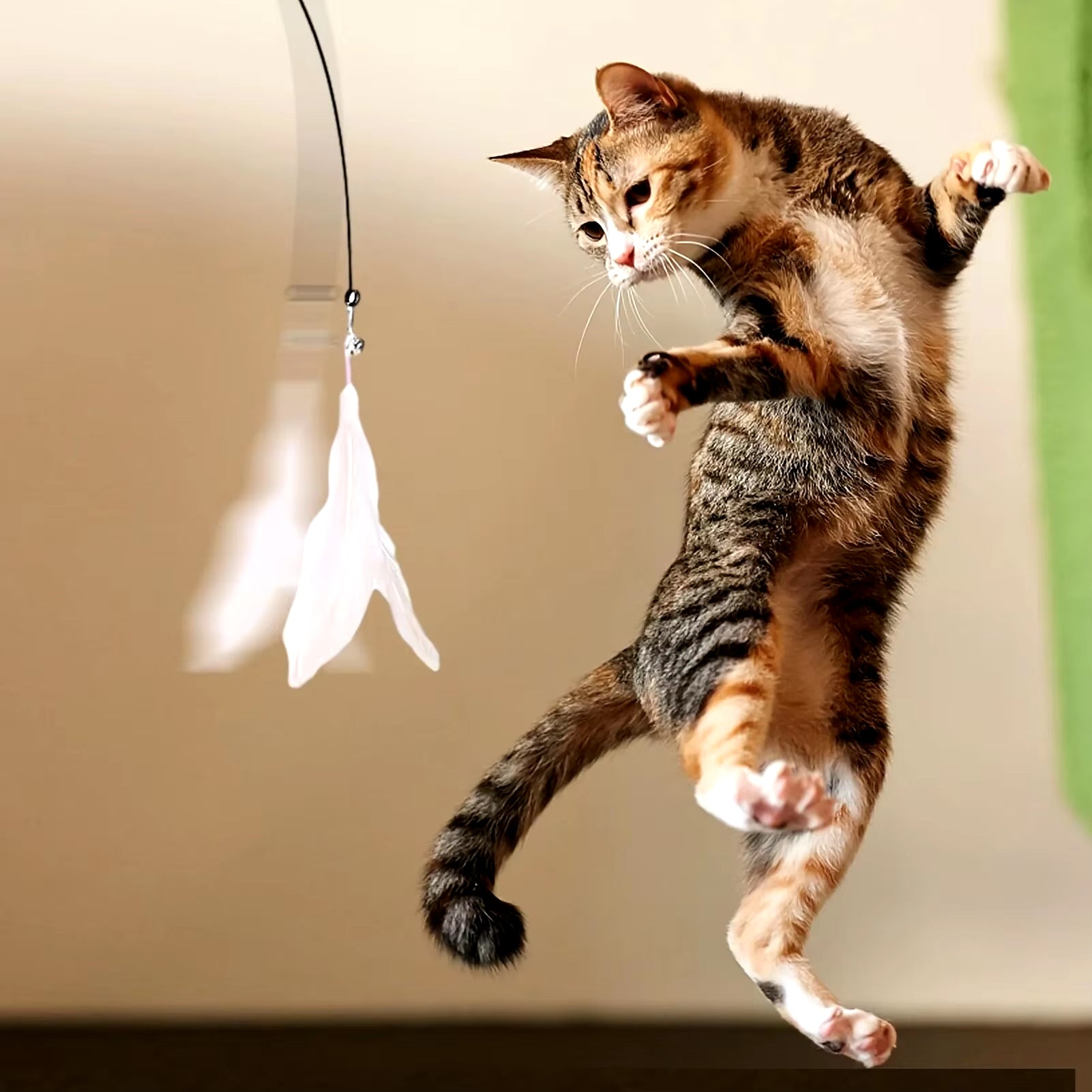 Cat Teaser Toy - Interactive Bell & Feather Wand