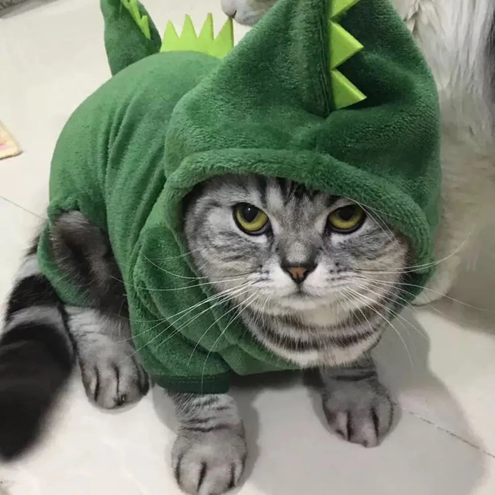 Pet Cat and Dog Funny Dinosaur Costume