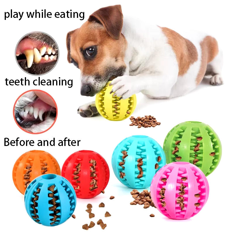 Rubber Ball Treat Toy