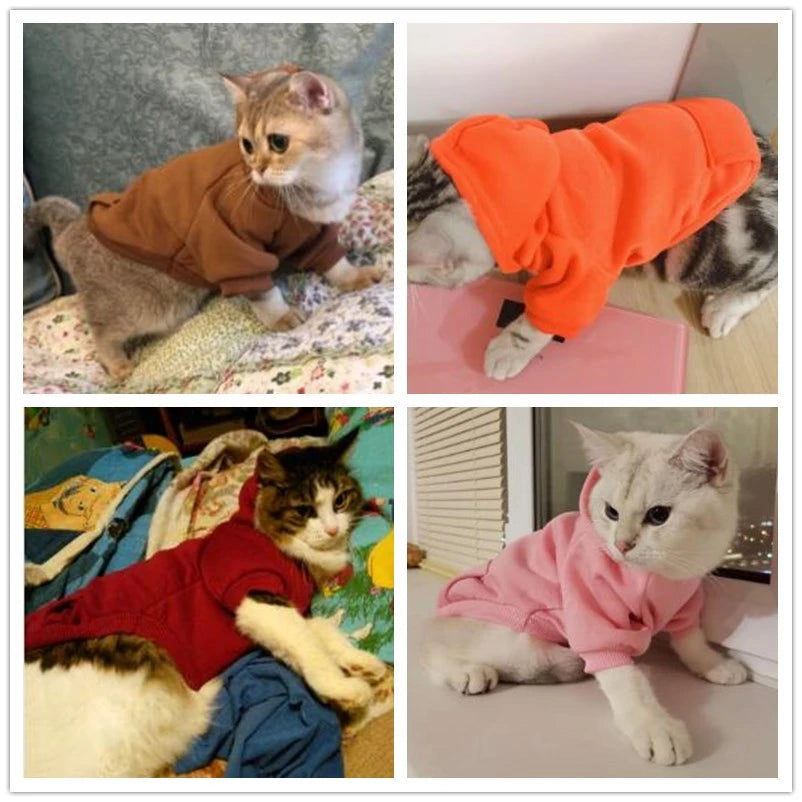Autumn and Winter Pet Clothes for Cats and Dogs
