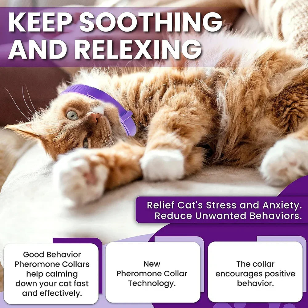 Calming Collar for Cats and Dogs, Calming Collar for Anxiety, Effective Relief for Anxiety and Stress