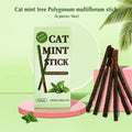 6Pcs Natural Matatabi Cat Stick Mint Caught Bite Excited Rods Silvervine for Cat Teeth Cleaning Treating Pet Supply Cat Toys