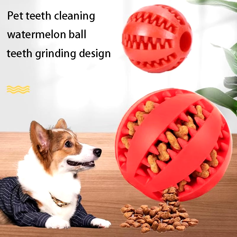 Rubber Ball Treat Toy